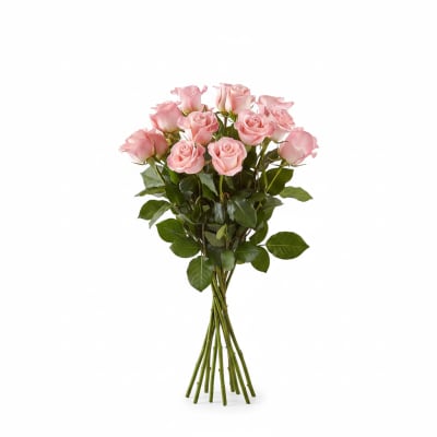Bouquet of pale pink roses with long stems