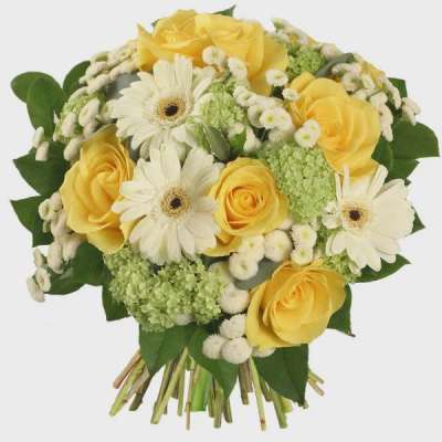 Bouquet of yellow roses and white daisies with green filler