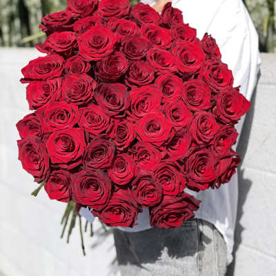 Large bouquet of red roses held by a woman outdoors