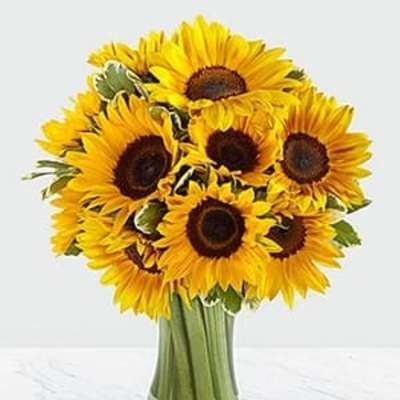 SPECIAL** SUNFLOWER HEAVEN VASE