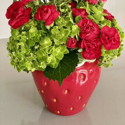 Red carnations in a strawberry-shaped red pot with green hydrangea