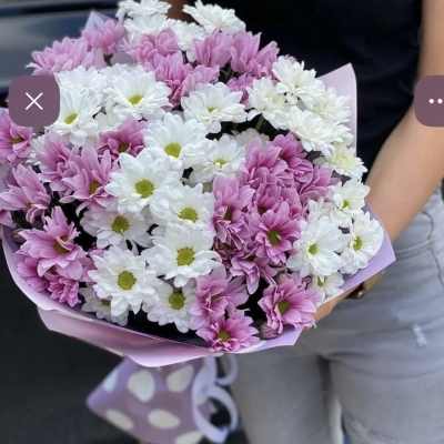 Bouquet of pink and white daisy-like flowers wrapped in pink paper