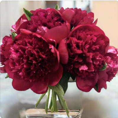 Bouquet of deep pink peonies in a glass vase