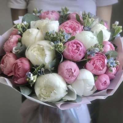 Mother’s Day, bouquet with 25 peonies (Order with 5 days in advance)