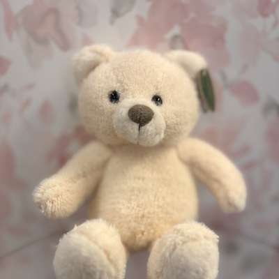 Teddy Bear