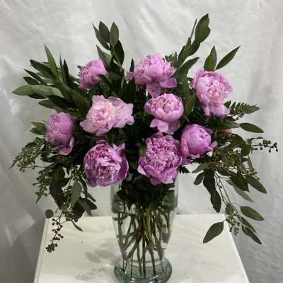 Perfection Peonies