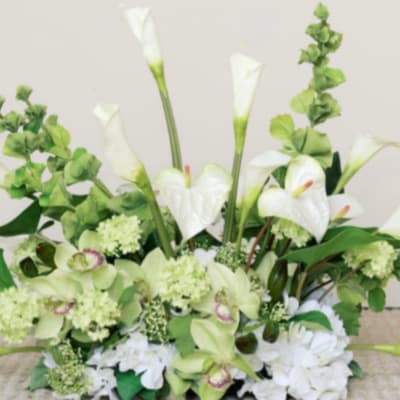 White calla lilies and pale green orchids in a low arrangement