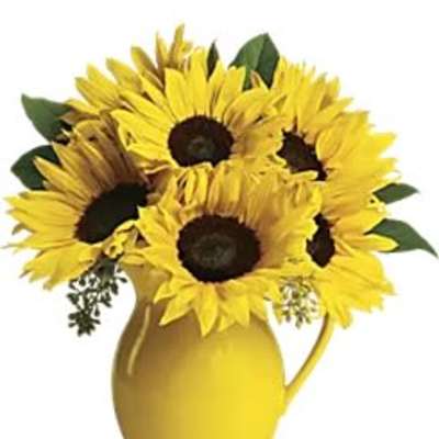 Teleflora's Sunny Day Pitcher of Sunflowers