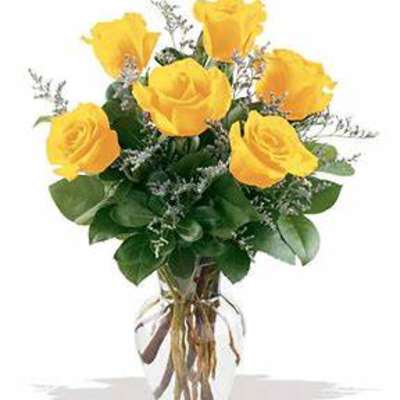 Half Dozen Yellow Roses
