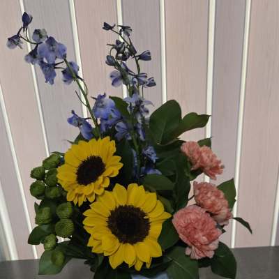 Sunflower delightful