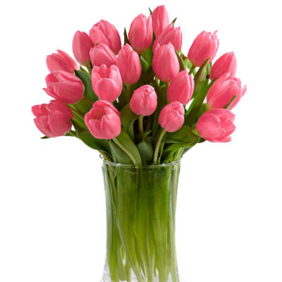 Pink tulips arranged in a clear glass vase