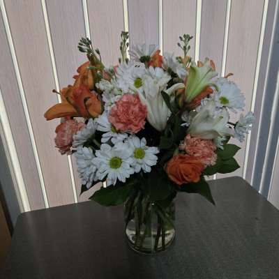 Orange and white surprise