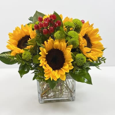 Sunflower arrangement in a clear square vase with red berries