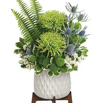 Green chrysanthemum arrangement in a white vase with blue thistle accents