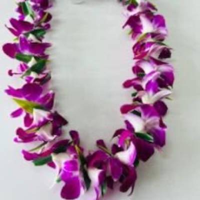 Purple orchid lei on a light background
