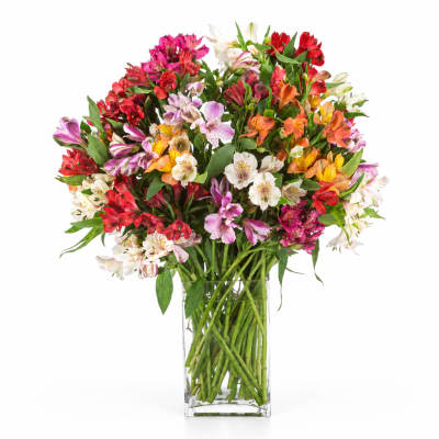 Colorful alstroemeria bouquet in a clear glass vase
