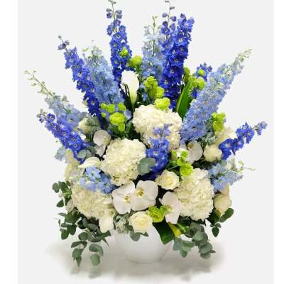 A majestic arrangement