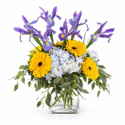 Purple irises and yellow gerbera daisies in a clear square vase