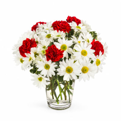 Red carnations and white daisies in a clear glass vase