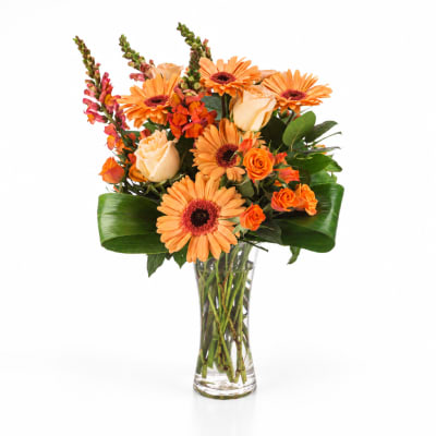 Orange gerbera daisies and roses in a clear glass vase