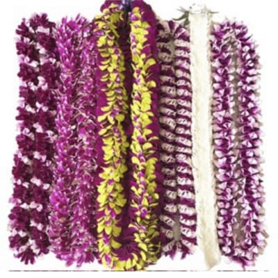 Several purple and yellow flower leis arranged side by side.