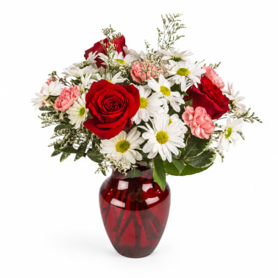 Red roses and white daisies in a red glass vase
