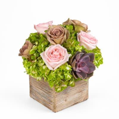 Pink and taupe roses with a purple succulent in a wooden box