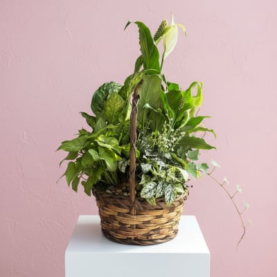 Emerald Garden Basket