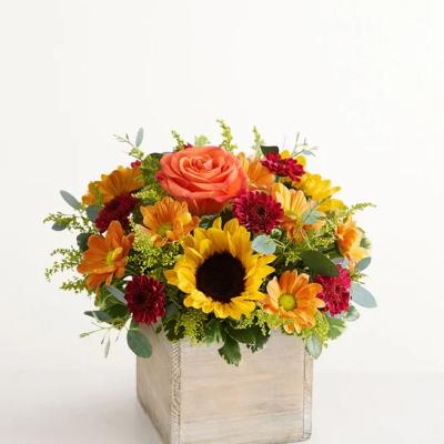 Mixed bouquet with a sunflower, rose, and daisies in a square wooden box