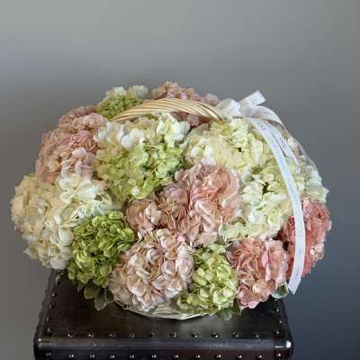 Basket of pastel hydrangeas with a ribbon handle