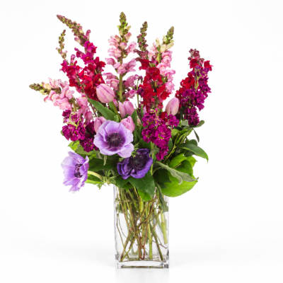 Purple and pink flowers arranged in a clear glass vase