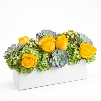 Yellow roses and succulents arranged in a white rectangular container