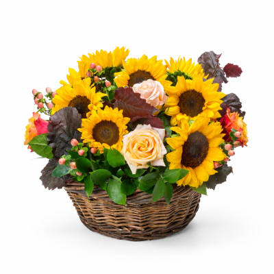 Basket arrangement of sunflowers and pale roses