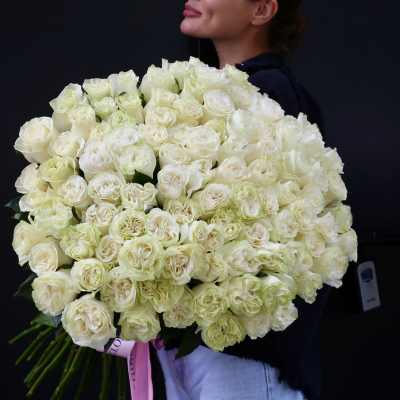 Large bouquet of white roses held by a person