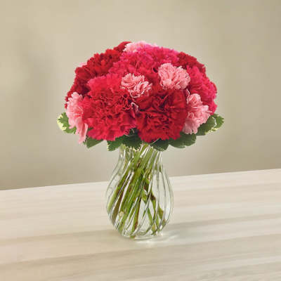 Pink and red carnations in a clear glass vase