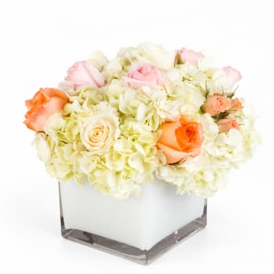 Peach and pink roses in a square glass vase with white hydrangeas