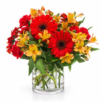 Red gerbera daisies and yellow alstroemeria in a clear glass vase