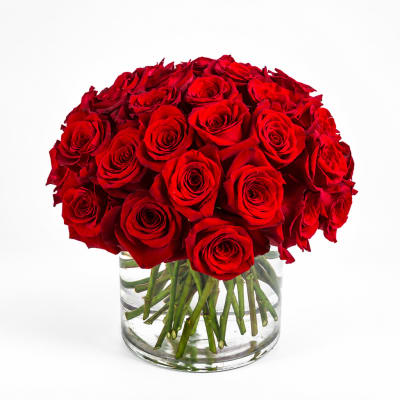 Red roses arranged in a clear glass vase