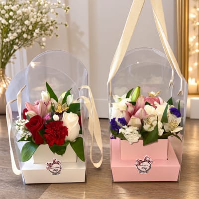 Two boxed flower arrangements under clear covers, one pink and one white.