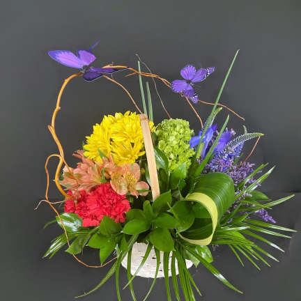 Somewhere over the rainbow