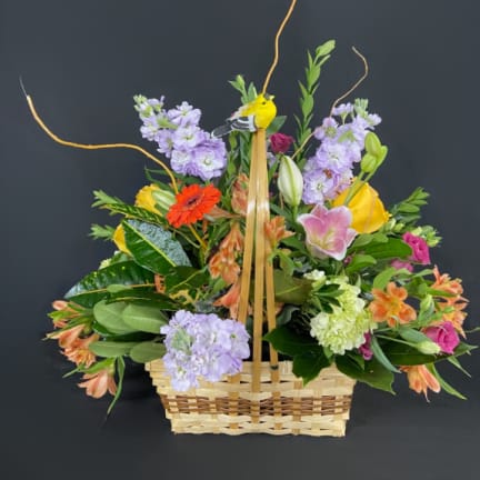 Blooming Green Thumb Live Plant Basket