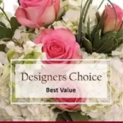 Designer Choice Best Value