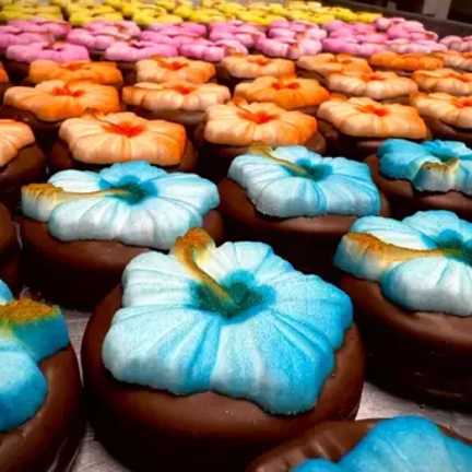 Chocolate Covered Oreos 3 Pack