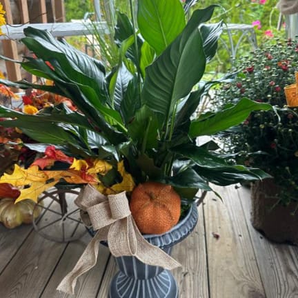 Potted green plant in a blue urn with a burlap bow and pumpkin accent