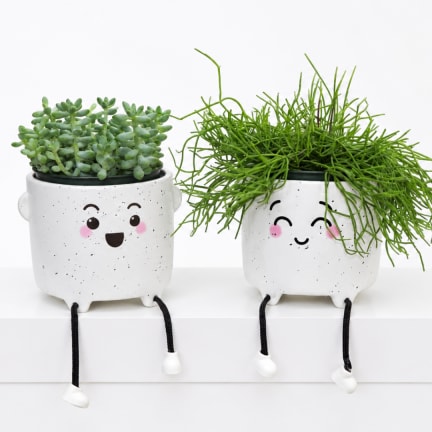Two small potted succulents in smiling white planters with dangling legs