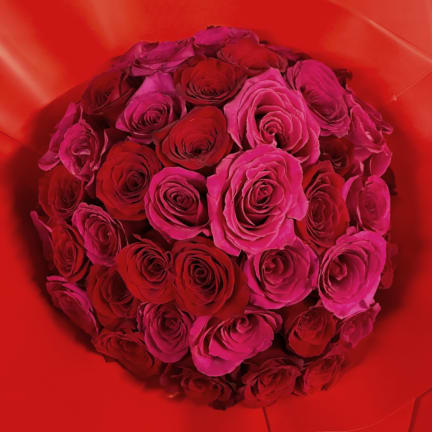Bouquet of red and pink roses in red wrapping