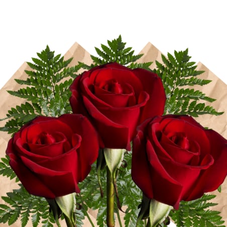 Three red roses with fern foliage on brown paper