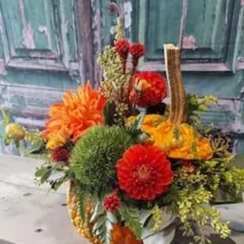 Gourds of Fun