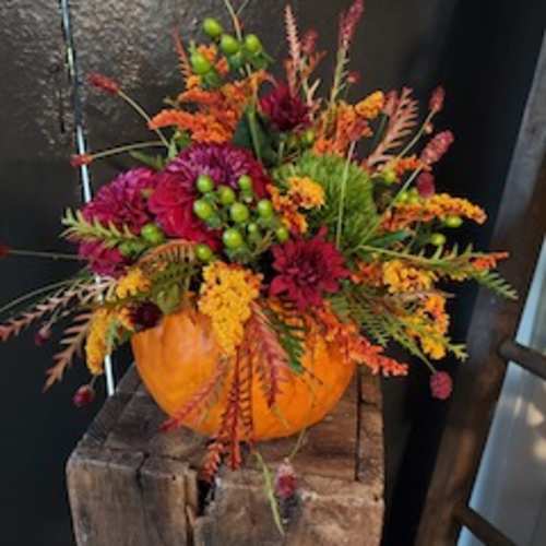 Festive Fall