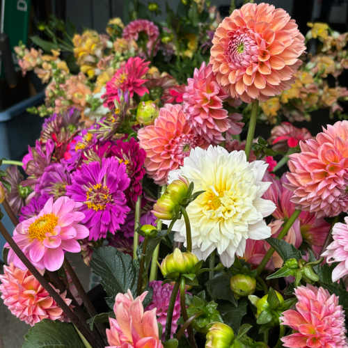 Westborough Florist Flower Delivery by Mugford's Flower Shoppe